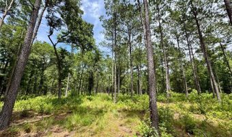 Fox Paw Court, Branchville, SC 29432