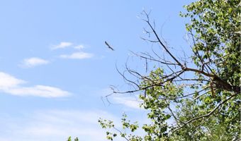 1785 Serene Pl, Berthoud, CO 80513