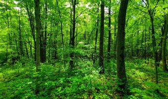 4376 VT-22A, Bridport, VT 05734