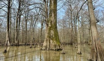 Putnam Road, Belzoni, MS 39038