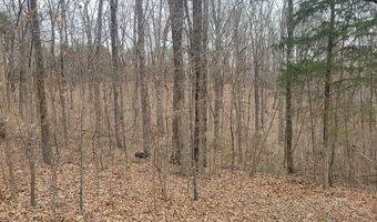 Branch Rd, Big Sandy, TN 38221