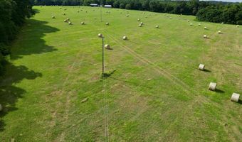 County Road 127, Banks, AL 36005