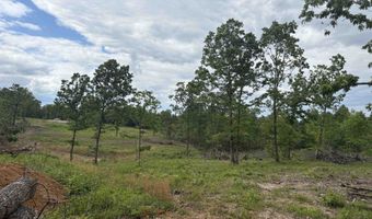 3968 HWY 167, Ash Flat, AR 72513