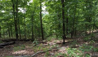 13 Hidden Vly Lks, Annapolis, MO 63620