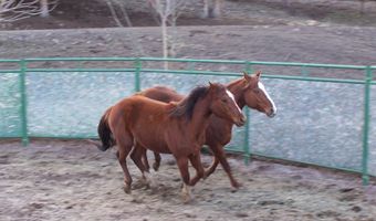 County Road 199, Alturas, CA 96101