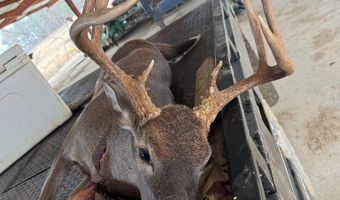 1037 Cr 300, Big Creek, MS 38914