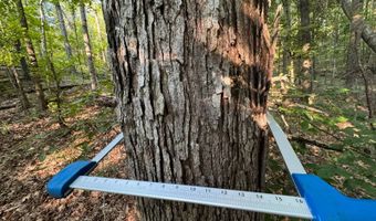 0 Military Rd, Beaverton, AL 35544