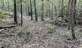 County Road 225, Blue Springs, MS 38828