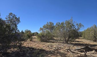 2 E Raney Rd, Ash Fork, AZ 86320