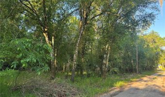 NE RIVER MILL DRIVE, Arcadia, FL 34266