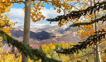 285 Pfister Dr, Aspen, CO 81611