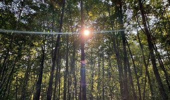 0 Military Rd, Beaverton, AL 35544