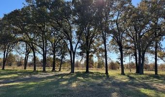 290 County Road 1513, Alba, TX 75410