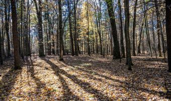 Lot 33 S Badger Lane, Arkdale, WI 54613