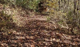 N Fork River Road, Abingdon, VA 24210
