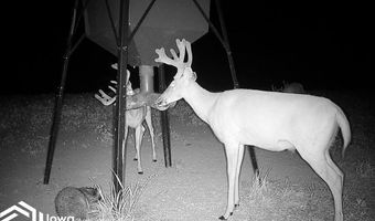 560 Th Ave, Albia, IA 52531