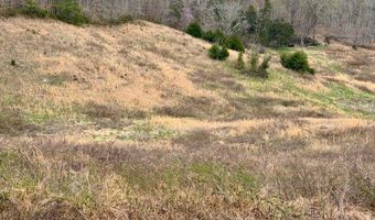 10 Acres Bob Dennings Rd, Allons, TN 38541