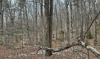 10-3 18 Myrtle St, Campton, NH 03223