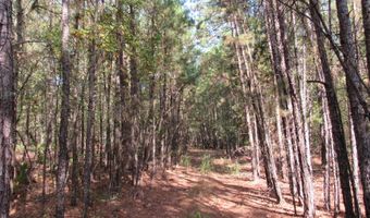 Tract 52 E 1885 Road, Antlers, OK 74523