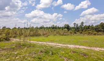 R53358 Tract 2 Hwy 94, Apple Springs, TX 75926