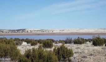 Parcel 107-52-046, Concho, AZ 85924