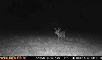 U.S. Highway 51, Bogue Chitto, MS 39629