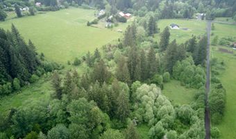 NE 389th St, Amboy, WA 98601
