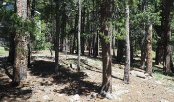 0 Caesar Rd, Black Hawk, CO 80422