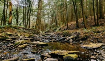 0 Weidick Rd, Andes, NY 13731