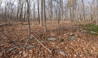 10 Upper Woodland Ter, Columbia, CT 06237