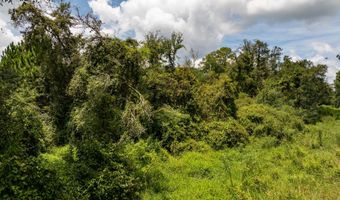 7 02 Acres Monroe E, Ashburn, GA 31714