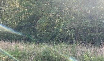 Lot 19 Trap St, Abita Springs, LA 70420