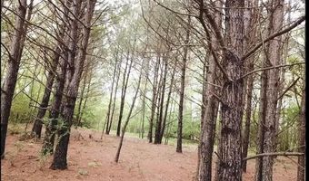 BRUSHY LANE, Arley, AL 35541