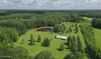 1144 Little Big Mound Rd, Bentonia, MS 39040