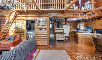 110 Meadow Ln, Bellvue, CO 80512