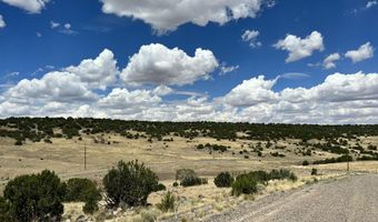 Lot 49 Windsor Valley Ranch, Concho, AZ 85924