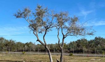 1321 W Moore Ave, Aransas Pass, TX 78336