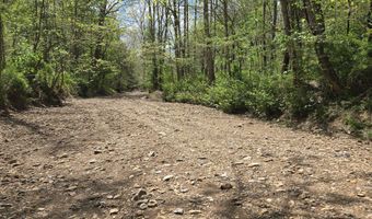 Hale Ridge Road, Beattyville, KY 41311