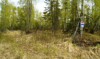 15032 W Necrason Dr, Big Lake, AK 99652