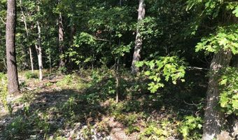 Lot 13 Cawood DR, Bella Vista, AR 72714