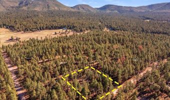 24 County Rd 2267, Alpine, AZ 85920