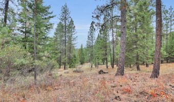 1571 Stone, Blanchard, ID 83804