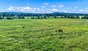 Hwy 247/Griffin Flat Road, Atkins, AR 72823