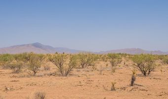 3154 W CACTUS BLOSSOM Ct, Benson, AZ 85602
