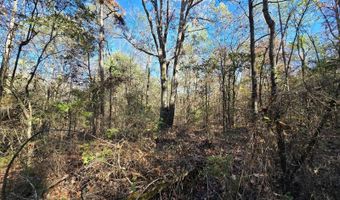 TBD Raw Land, Bates, AR 72958