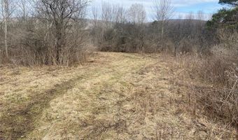 4005 Cr-2, Angelica, NY 14709
