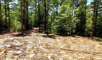2 Acres Airport Rd Lot 3, Andalusia, AL 36421