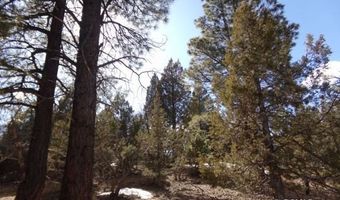 2805 N Dead Horse Lp, Alton, UT 84710