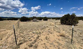 17 County Road N8034, Concho, AZ 85924