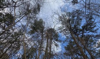 U.S. Highway 51, Bogue Chitto, MS 39629